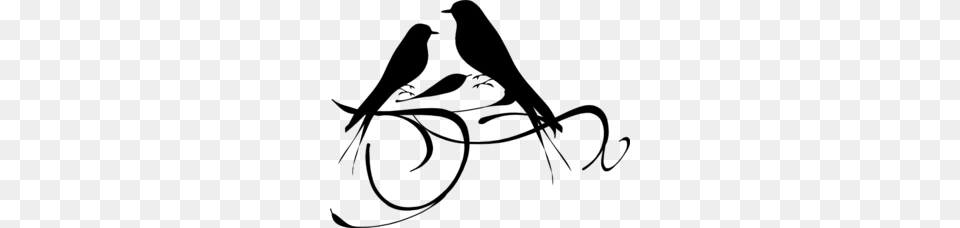 Birds On A Branch Clip Art For Web, Gray Png