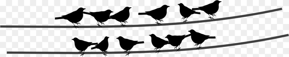 Birds On A Wire, Sword, Weapon, Handrail Free Transparent Png