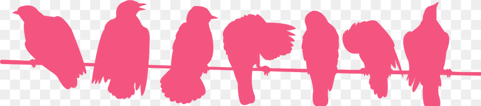 Birds On A Wire Silhouette, Person, Animal, Bird Free Transparent Png