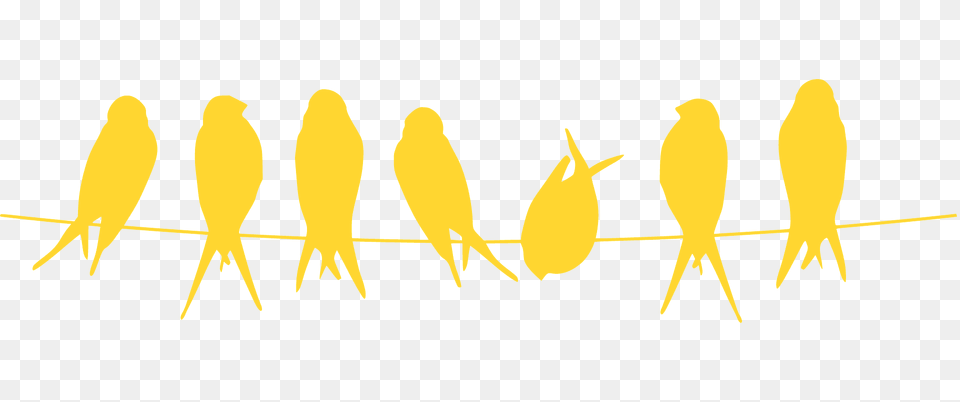 Birds On Rope Silhouette, Animal, Bird, Canary, Fish Free Png Download