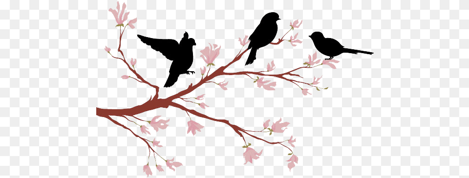 Birds On Tree, Flower, Plant, Cherry Blossom, Leaf Free Transparent Png