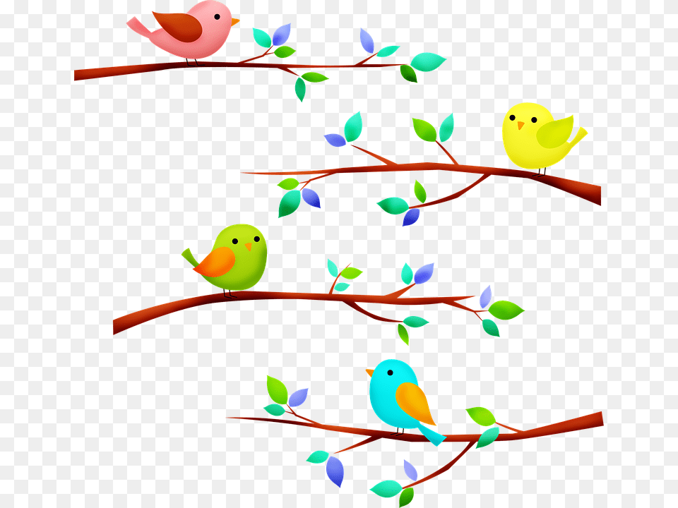 Birds On Tree Branch Birds Tree Branch Animal Vgel Auf Ast Clipart Free Png