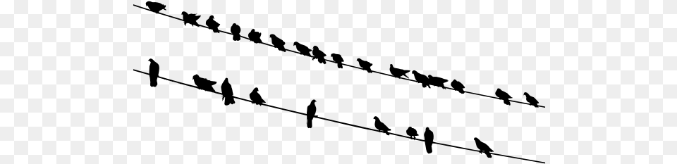 Birds On Wires Silhouette Birds On A Wire Transparent, Gray Png