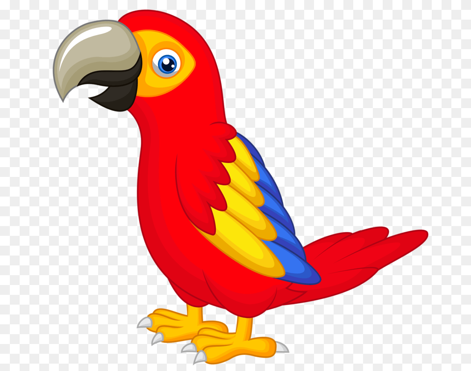 Birds Parrot Clip Art And Birds, Animal, Beak, Bird Free Png Download