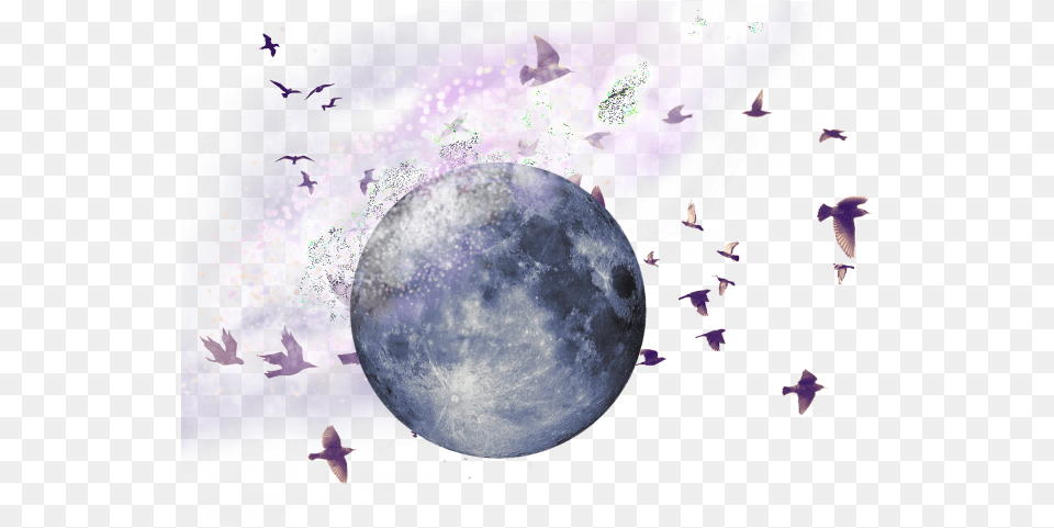Birds Photoshop Brush, Nature, Night, Outdoors, Astronomy Png