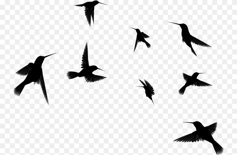 Birds Silhouette Flying Bird Silhouette Flying Transparent, Gray Png Image