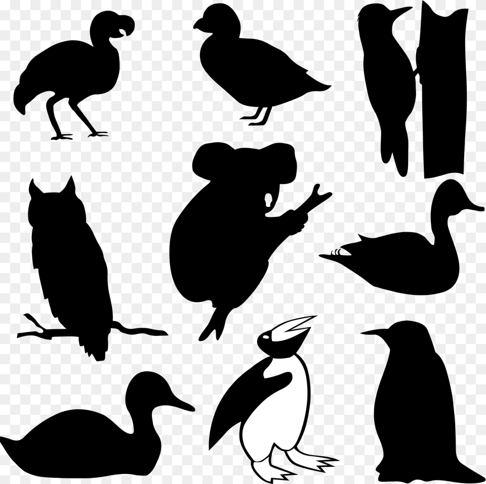 Birds Silhouettes And A Koala Clip Arts Owl On Branch Silhouette, Stencil, Animal, Bird, Waterfowl Png