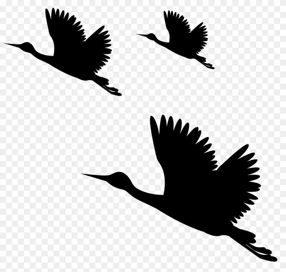 Birds Silhouettes Clip Art, Silhouette, Symbol, Lighting Free Transparent Png