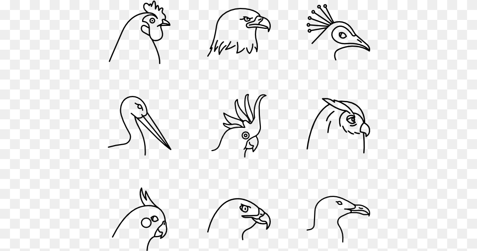 Birds Species Sketch, Gray Free Png