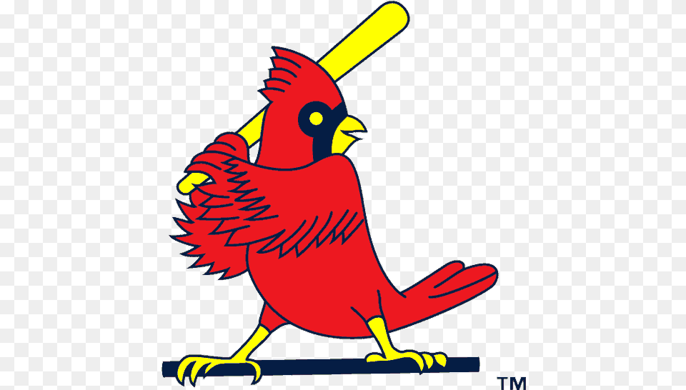 Birds St Louis Cardinals Old Logo, Animal, Bird, Cardinal, Person Png
