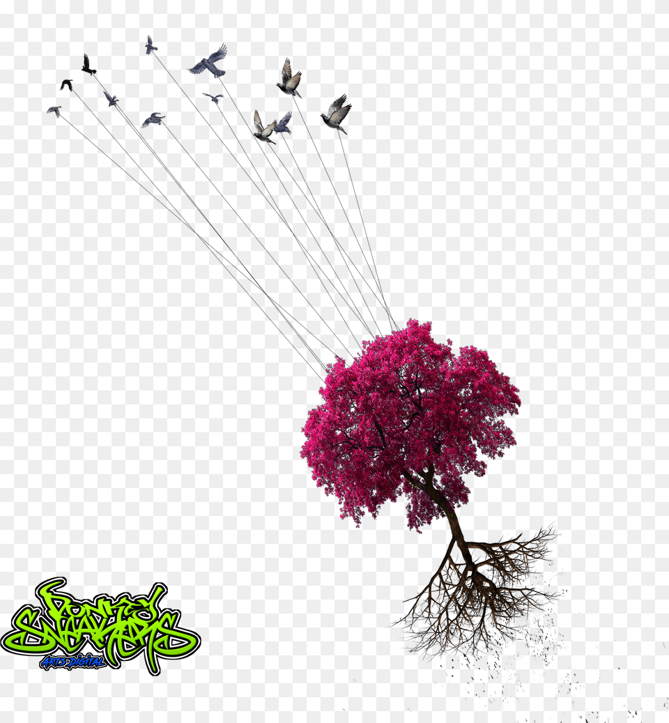 Birds Taking Tree Donkeysneakers Nurhayat Uara Szleri, Flower, Plant, Flower Arrangement, Purple Free Png Download