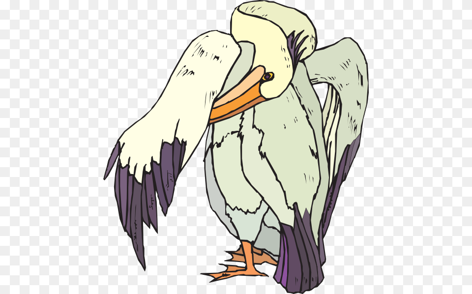 Birds Vector, Animal, Bird, Waterfowl, Pelican Free Png