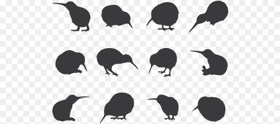 Birds Vector Kiwi Kiwi Bird Silhouette, Animal, Kiwi Bird, Baby, Person Free Transparent Png