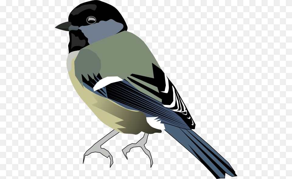 Birds Vector Tit Bird Transparent, Animal, Finch, Jay, Fish Free Png
