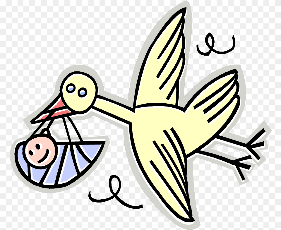 Birth Rate Cartoon, Animal, Bird, Waterfowl Free Png