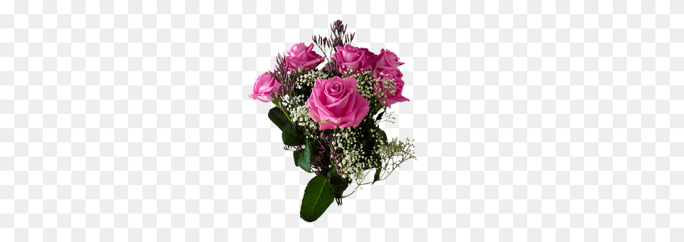 Birthday Flower, Flower Arrangement, Flower Bouquet, Plant Free Png