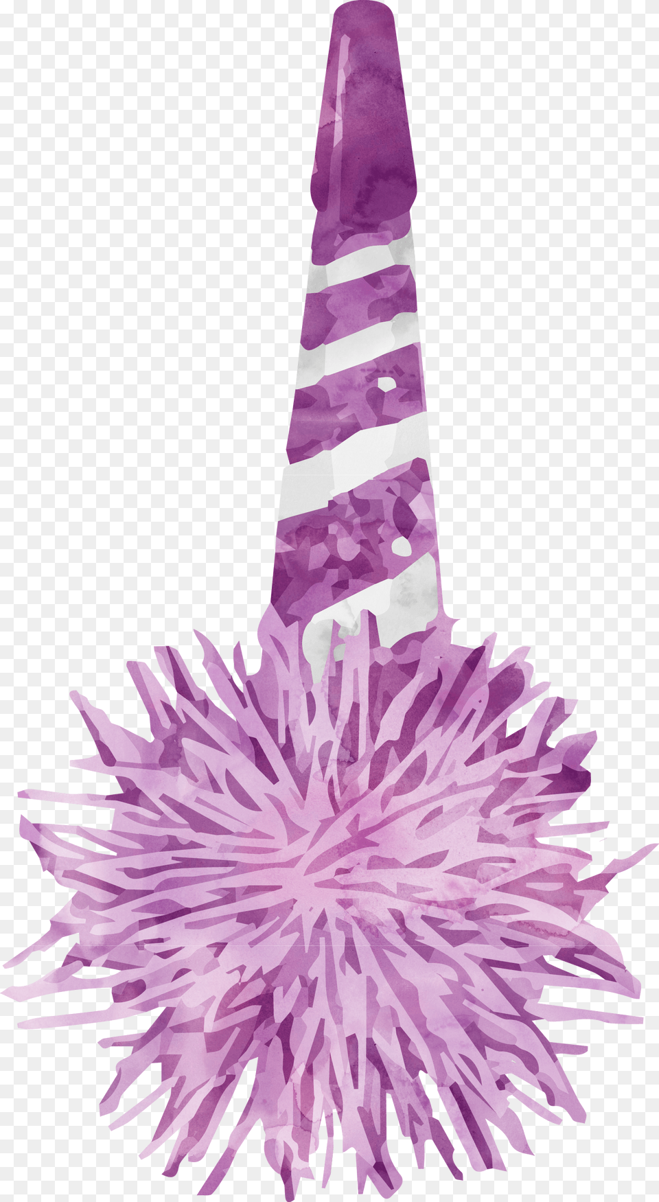 Birthday, Clothing, Hat, Party Hat Free Png