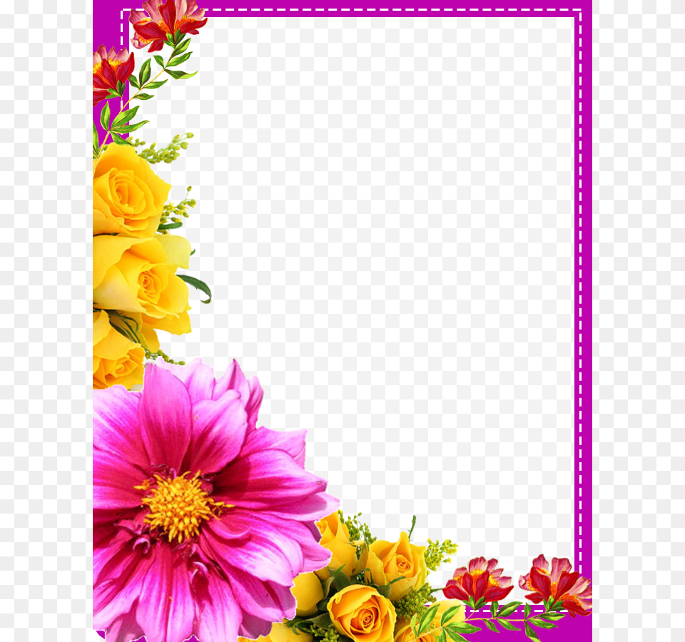 Birthday Card Design, Art, Plant, Petal, Pattern Free Transparent Png