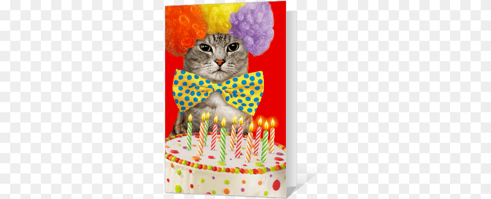Birthday Cat Ittude Greeting Card Cats Birthday Card Pdf, Food, Person, Birthday Cake, Cake Free Png Download