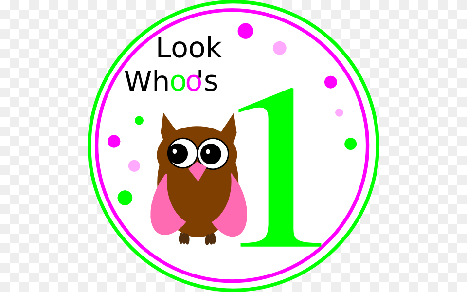 Birthday Clipart, Number, Symbol, Text, Animal Free Transparent Png