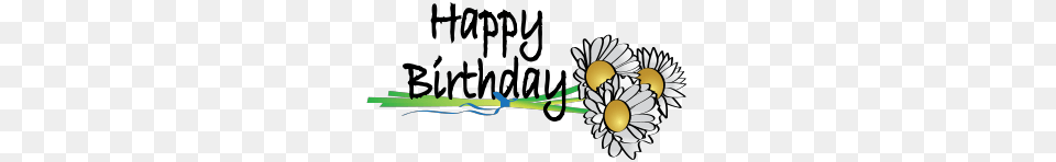 Birthday Flowers, Daisy, Flower, Plant, Art Free Png