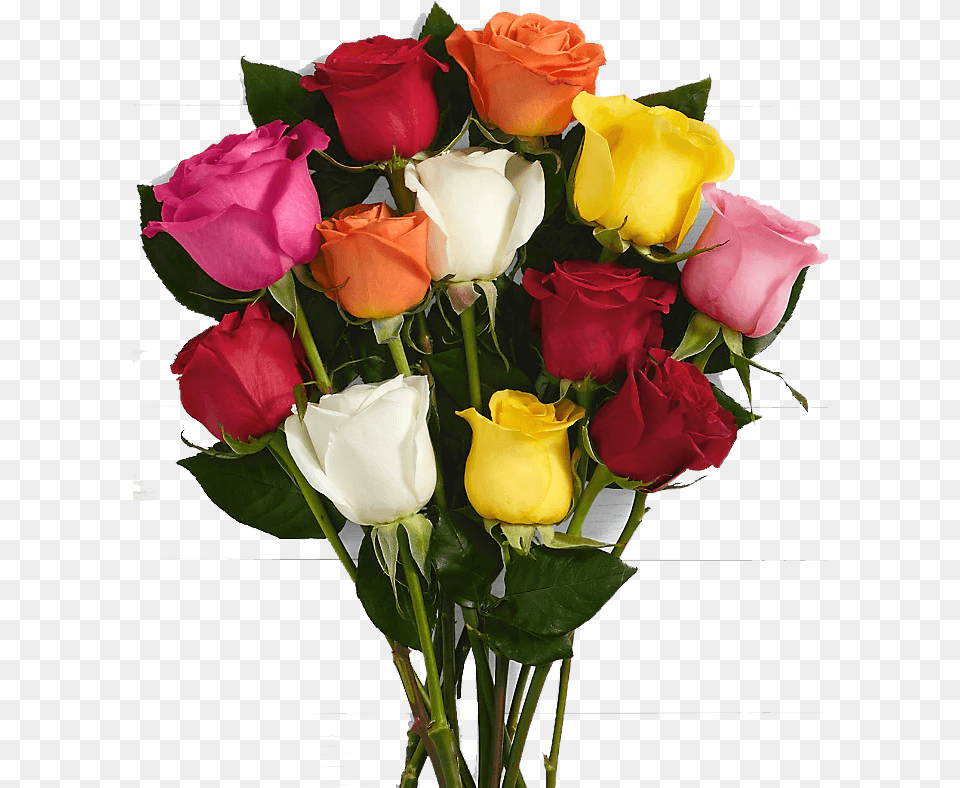 Birthday Flowers For A Friend, Flower, Flower Arrangement, Flower Bouquet, Plant Free Transparent Png