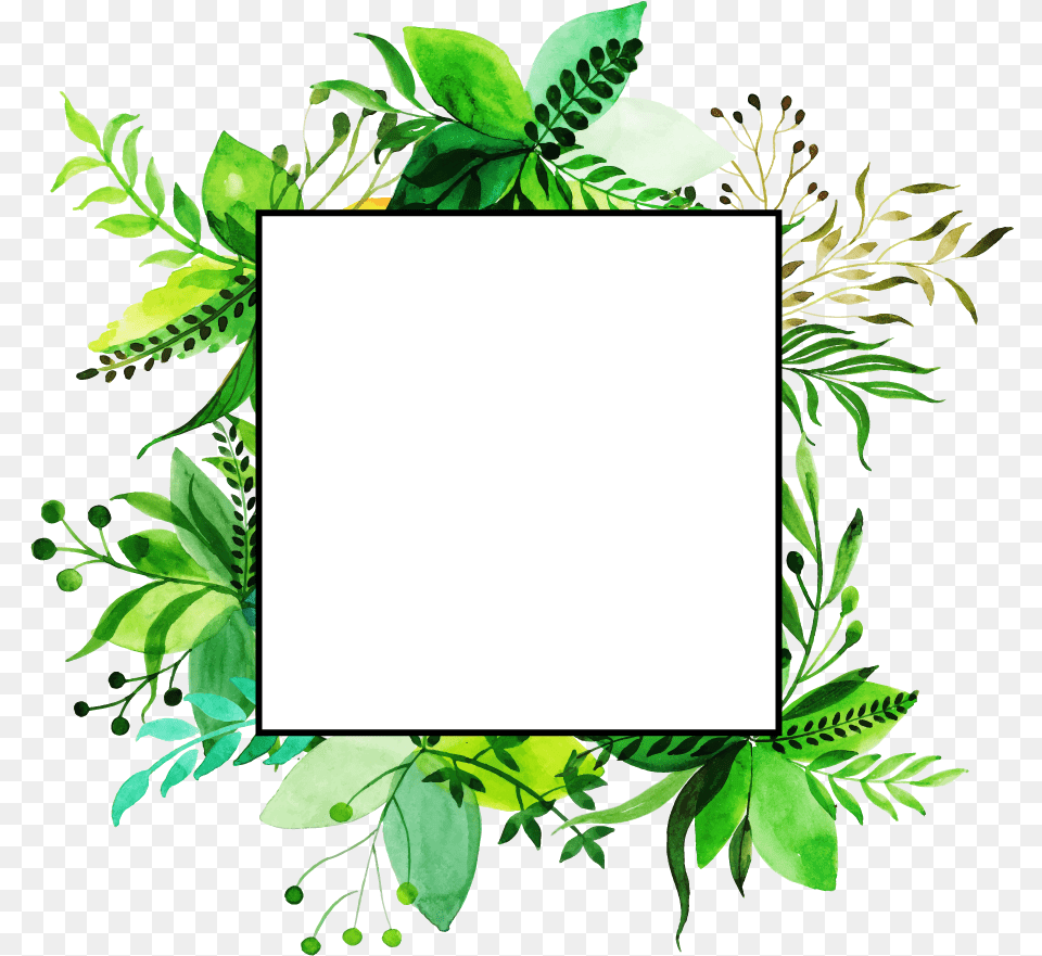 Birthday Frame Green Background, Vegetation, Plant, Leaf, Tree Png