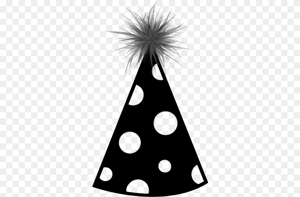 Birthday Hat, Flower, Plant, Fireworks Free Png