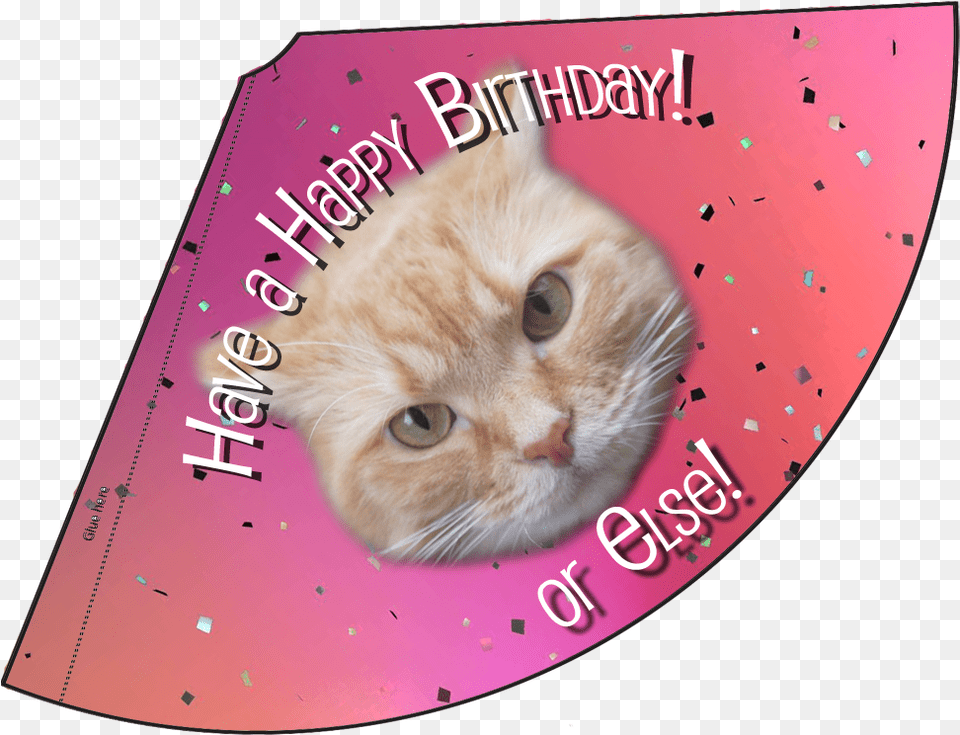 Birthday Month Celebration Lunaturd Cat Chapeu Aniversario Para Gato, Animal, Mammal, Pet Png