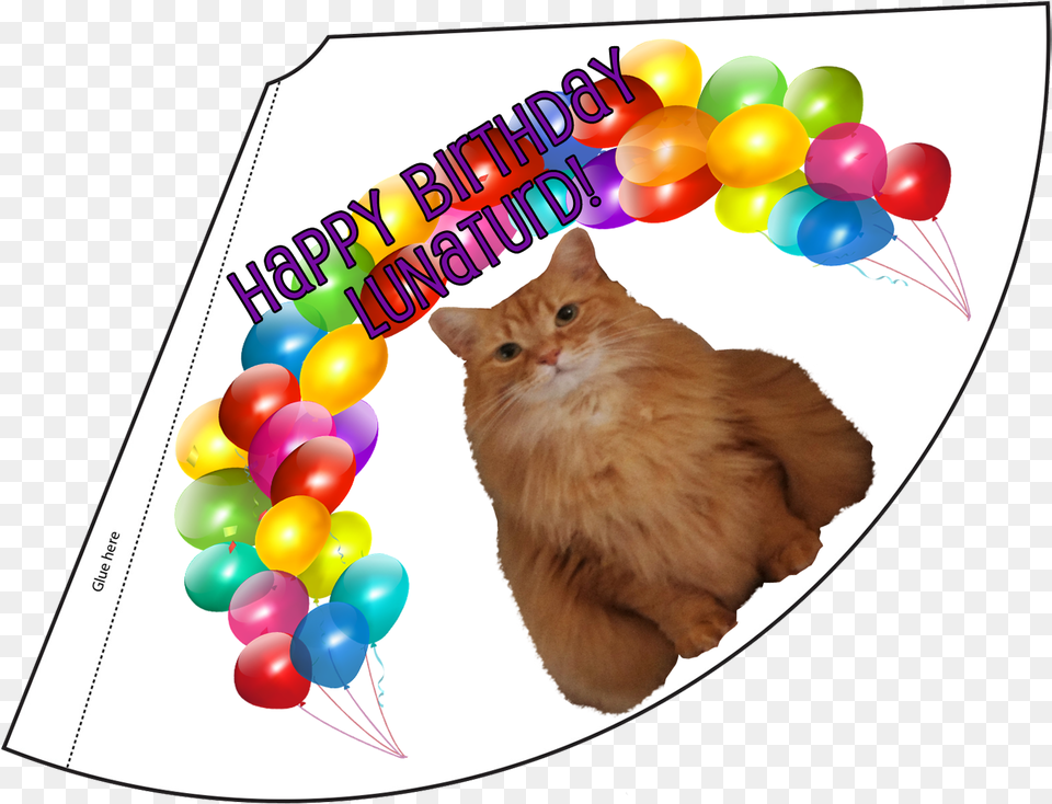 Birthday Month Celebration Lunaturd Cat Party Hat To Print, Balloon, Animal, Mammal, Pet Free Transparent Png
