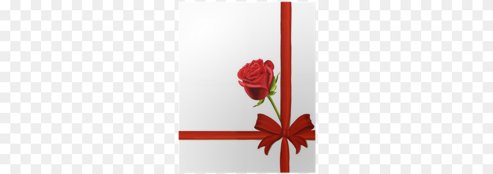 Birthday Or Valentine39s Card With A Single Red Rose Birthday, Flower, Plant, Petal Png Image