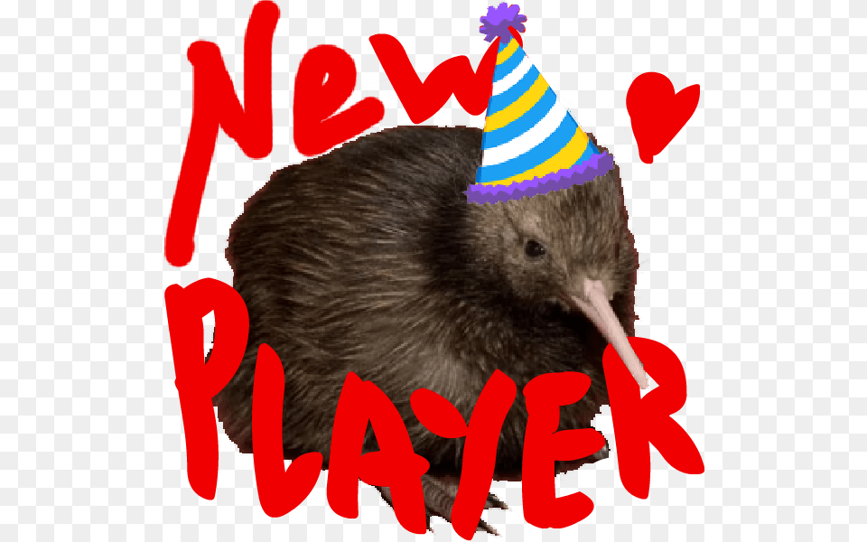 Birthday Party, Clothing, Hat, Animal, Mammal Free Png