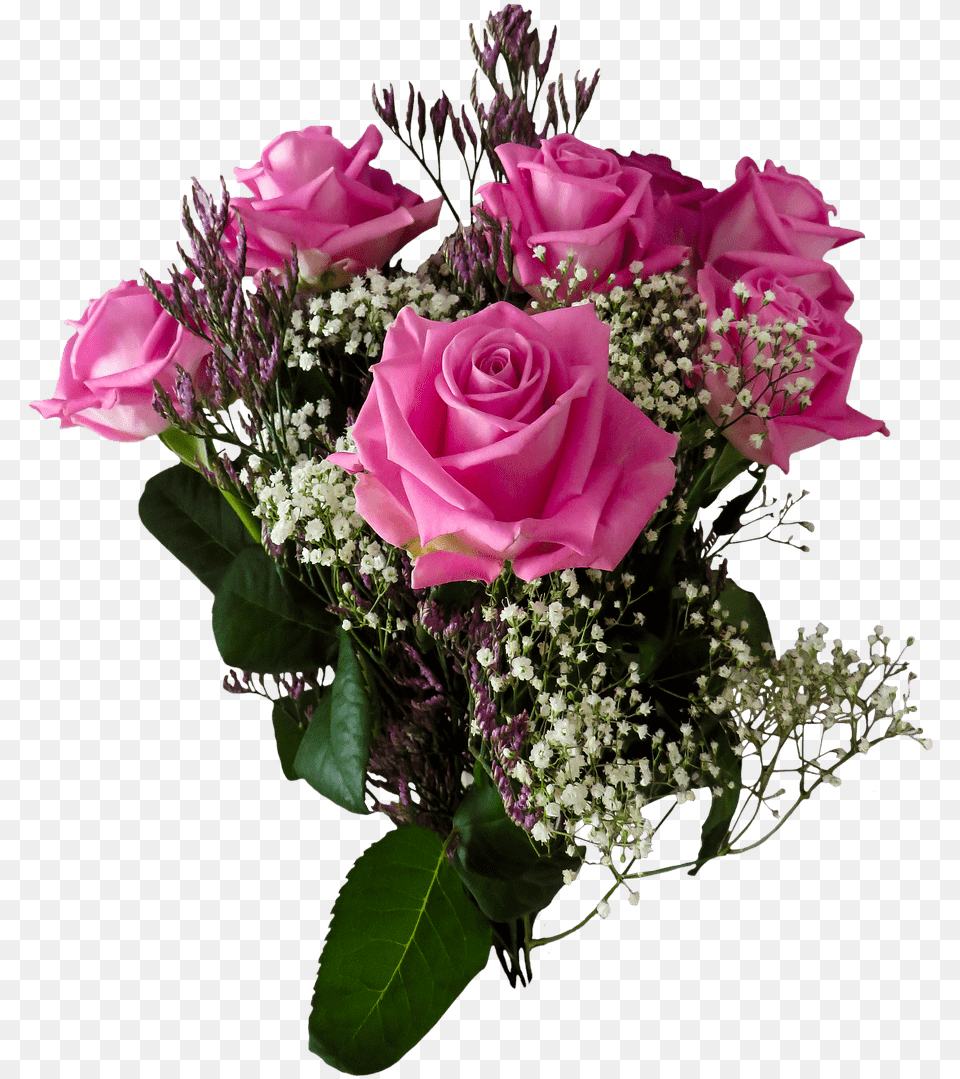 Birthday Roses Transparent Good Night Pink Flower, Flower Arrangement, Flower Bouquet, Plant, Rose Free Png