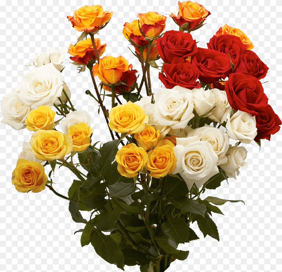 Birthday Spray Roses Flowers Garden Roses, Flower, Flower Arrangement, Flower Bouquet, Plant Png Image