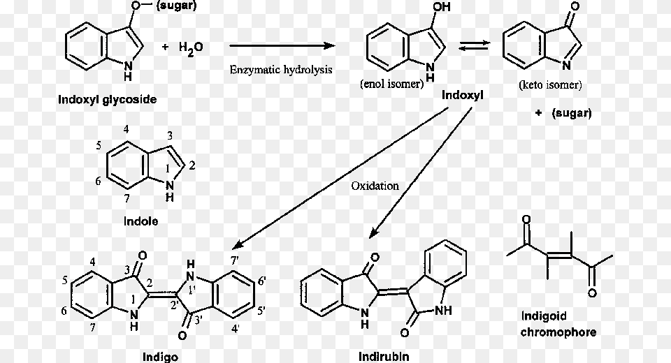 Bis Ethylhexyloxyphenol Methoxyphenyl Triazine Absorbance, Diagram Free Png Download