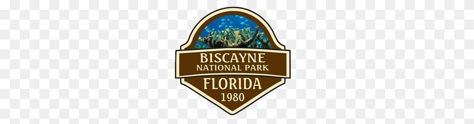 Biscayne National Park, Animal, Sea Life, Sea, Reef Png