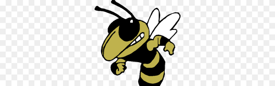 Bishop Moore Sports Performance Physical Therapy, Animal, Bee, Honey Bee, Insect Free Transparent Png