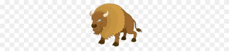 Bison, Animal, Buffalo, Mammal, Wildlife Free Transparent Png