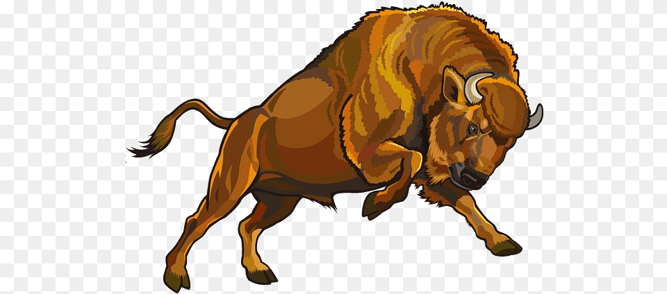 Bison, Animal, Buffalo, Mammal, Wildlife Free Png