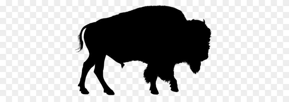 Bison Nature, Night, Outdoors Free Transparent Png