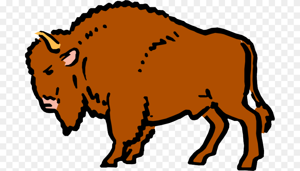 Bison, Animal, Buffalo, Mammal, Wildlife Png