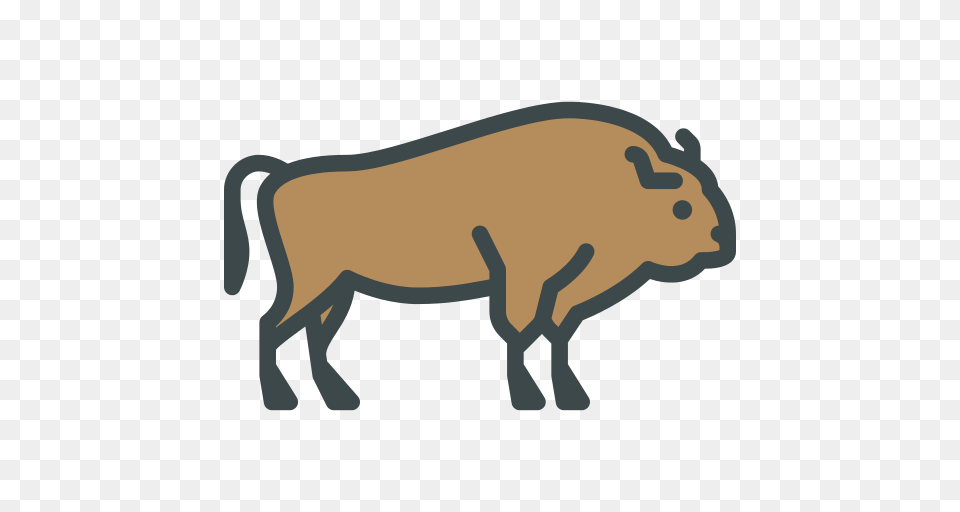 Bison, Animal, Mammal, Pig, Hog Png Image