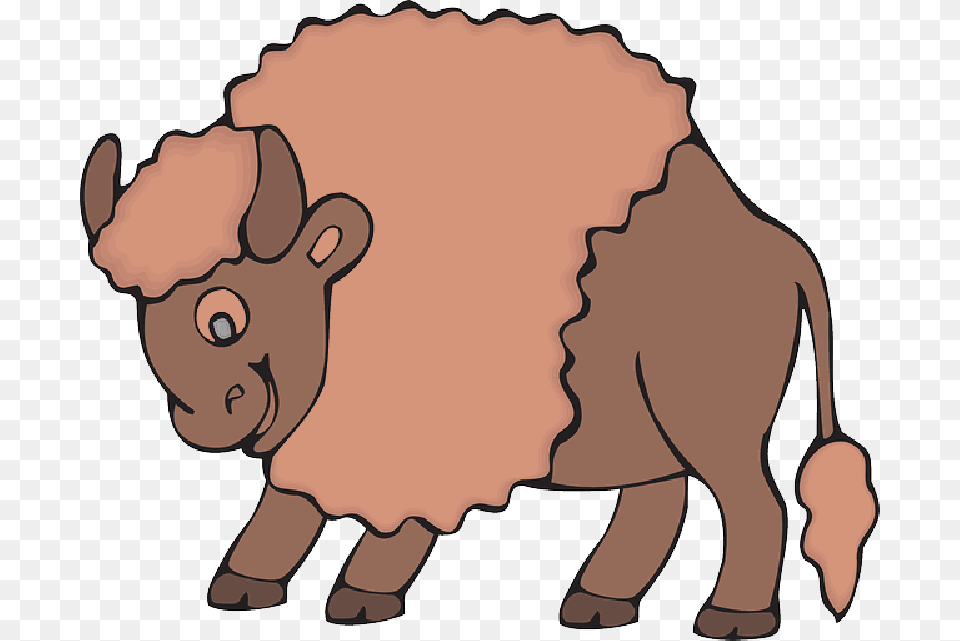 Bison, Animal, Buffalo, Mammal, Wildlife Png Image