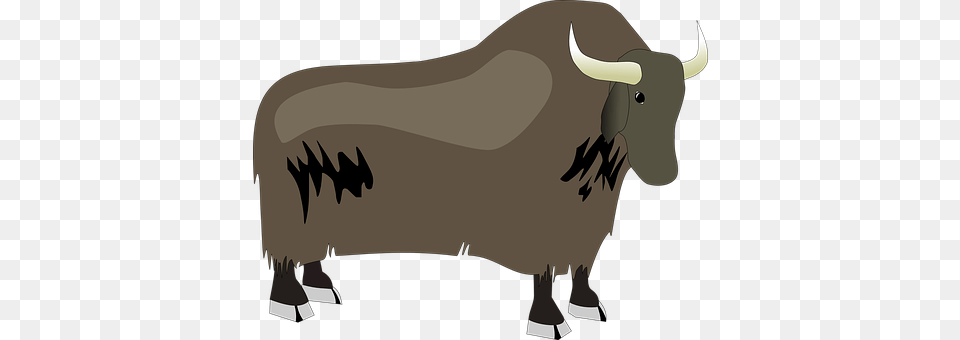 Bison Animal, Bull, Mammal, Cattle Free Transparent Png