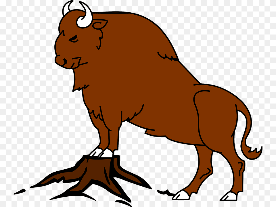 Bison, Animal, Buffalo, Wildlife, Mammal Free Png Download