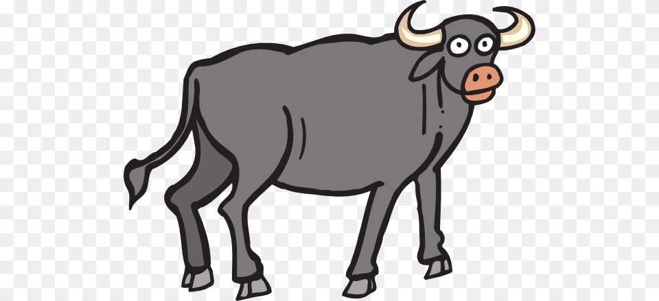 Bison Clip Art, Animal, Bull, Cattle, Livestock Png Image