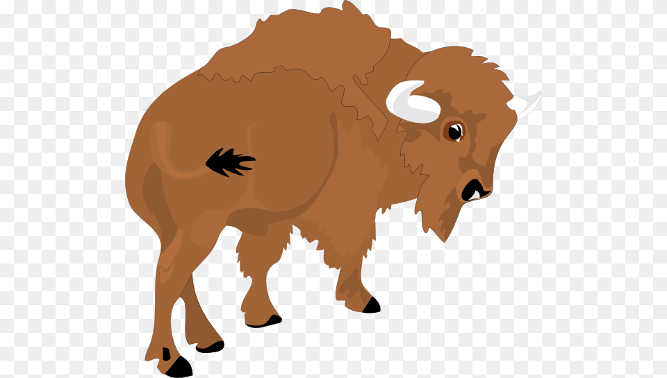 Bison Clip Art For Web, Animal, Buffalo, Mammal, Wildlife Free Png Download