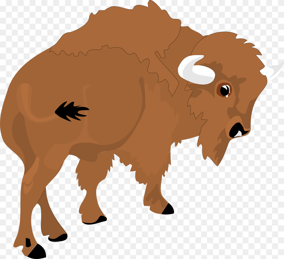 Bison Clipart, Animal, Buffalo, Mammal, Wildlife Png