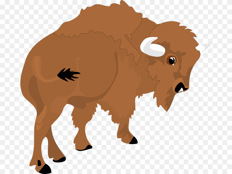Bison Clipart, Animal, Buffalo, Mammal, Wildlife Free Png