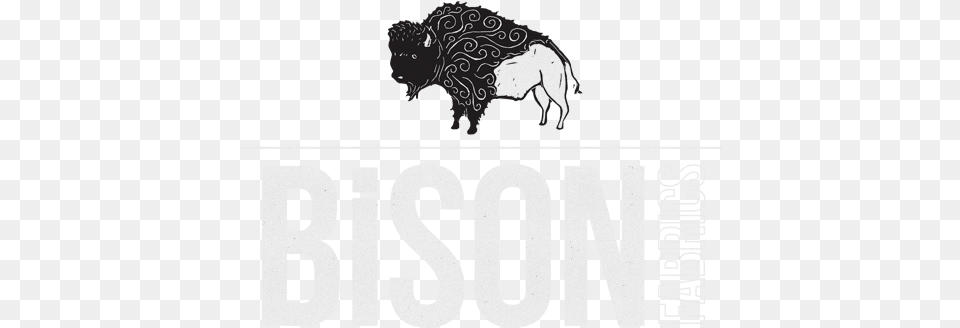 Bison Fabrics Bull, Animal, Mammal, Wildlife, Buffalo Free Png Download